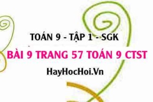 Bài 9 trang 57 Toán 9 tập 1 Chân trời sáng tạo